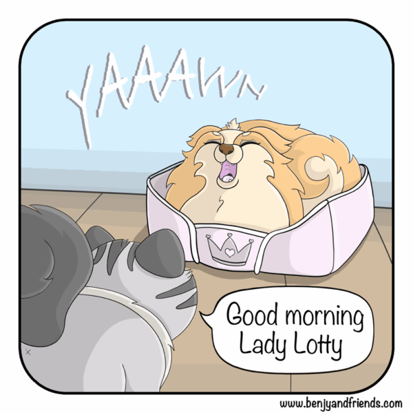 Early Riser | Comic | Benjy and Friends