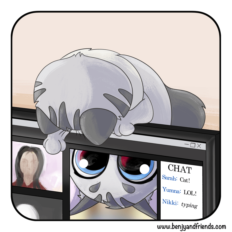 Wholesome web comic. Benjy kitten leans over, looking right into the camera.