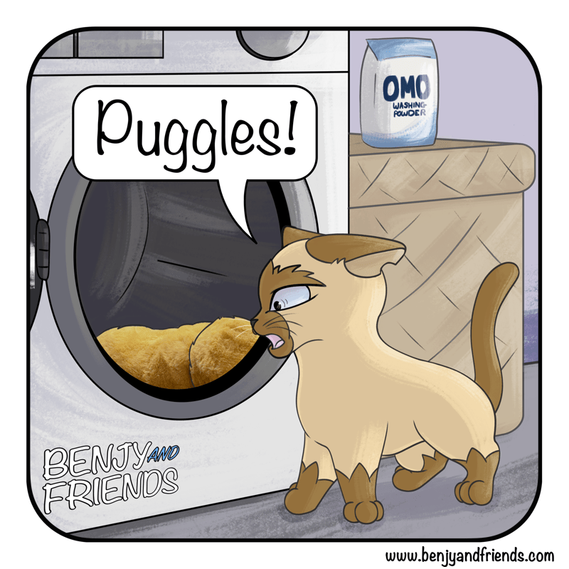 Cat comic. Quincy finds his plush Puggles in the washing machine.