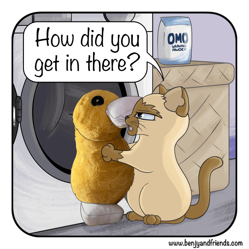 Cat comic. Quincy grabs his plush out of the washing maching. 