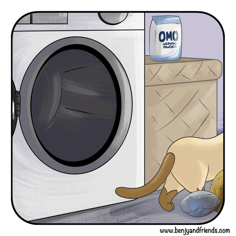 Cat comic. Quincy drags his plush toy away.