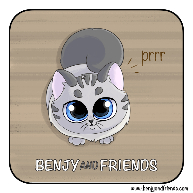 A kitten with bright blue eyes looks up at you. Will a little "prr", he asks for attention.