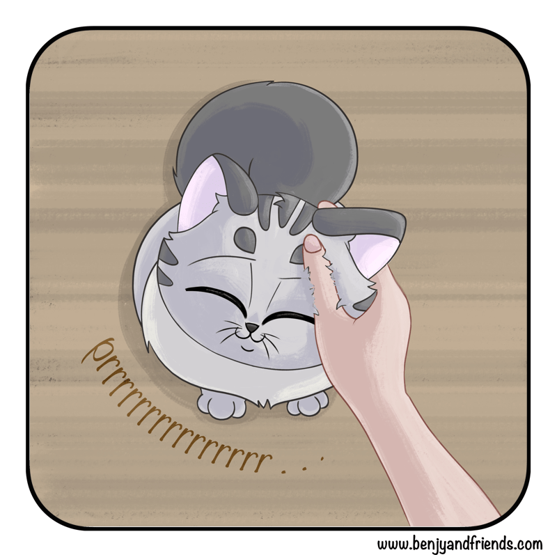 A hand reaches in, and starts giving the kitten pets.